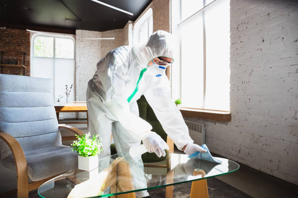 Best Mold Remediation for Healthcare Facilities in Chicopee, MA